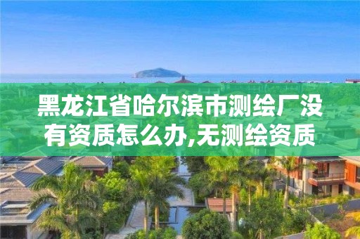 黑龍江省哈爾濱市測繪廠沒有資質怎么辦,無測繪資質公司進行測繪的后果。