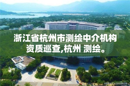 浙江省杭州市測(cè)繪中介機(jī)構(gòu)資質(zhì)巡查,杭州 測(cè)繪。