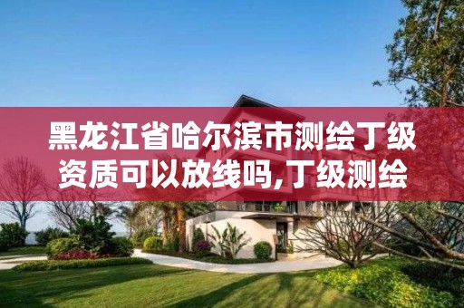 黑龍江省哈爾濱市測繪丁級資質可以放線嗎,丁級測繪資質申請需要什么儀器。