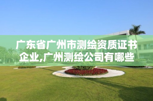 廣東省廣州市測繪資質(zhì)證書企業(yè),廣州測繪公司有哪些。