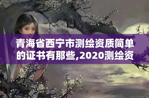 青海省西寧市測(cè)繪資質(zhì)簡(jiǎn)單的證書(shū)有那些,2020測(cè)繪資質(zhì)。