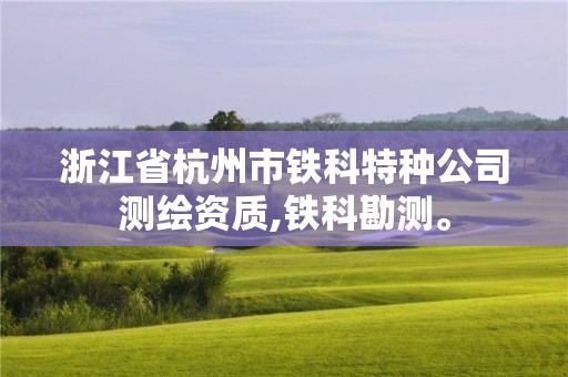 浙江省杭州市鐵科特種公司測繪資質,鐵科勘測。