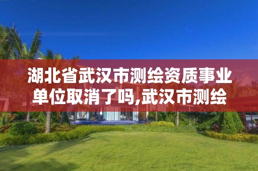 湖北省武漢市測繪資質事業單位取消了嗎,武漢市測繪工程技術規定。