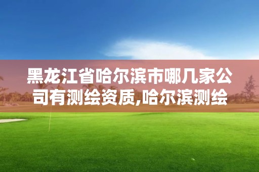 黑龍江省哈爾濱市哪幾家公司有測繪資質,哈爾濱測繪院地址。