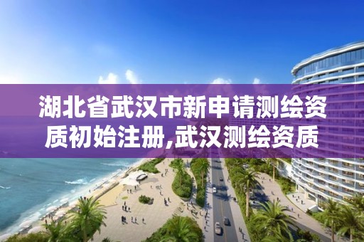 湖北省武漢市新申請測繪資質初始注冊,武漢測繪資質代辦。