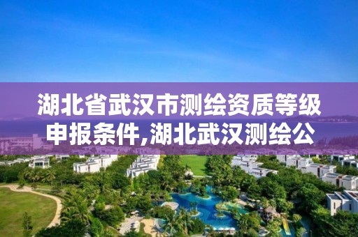 湖北省武漢市測繪資質等級申報條件,湖北武漢測繪公司排行榜。