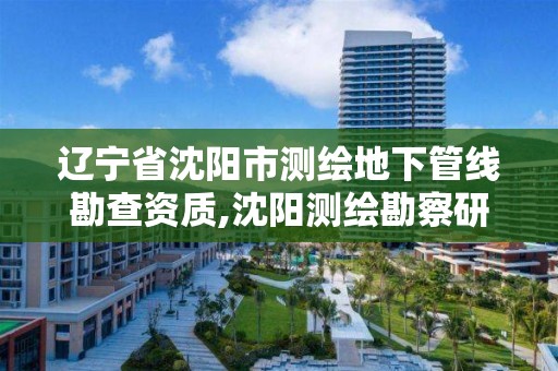 遼寧省沈陽市測繪地下管線勘查資質,沈陽測繪勘察研究院有限公司。