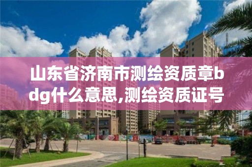 山東省濟南市測繪資質章bdg什么意思,測繪資質證號。