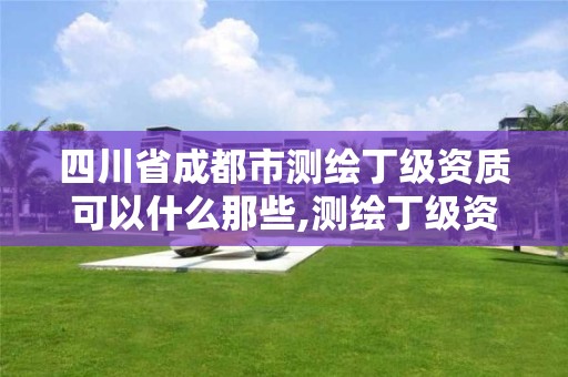 四川省成都市測繪丁級資質可以什么那些,測繪丁級資質承接業務范圍。