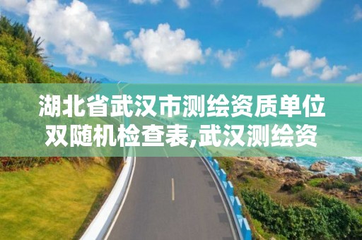 湖北省武漢市測繪資質單位雙隨機檢查表,武漢測繪資質代辦。