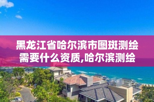 黑龍江省哈爾濱市圖斑測(cè)繪需要什么資質(zhì),哈爾濱測(cè)繪公司哪家好。