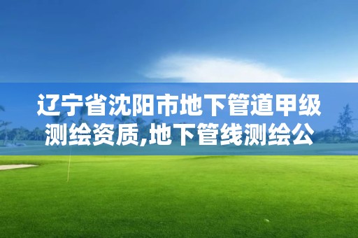 遼寧省沈陽市地下管道甲級測繪資質,地下管線測繪公司。