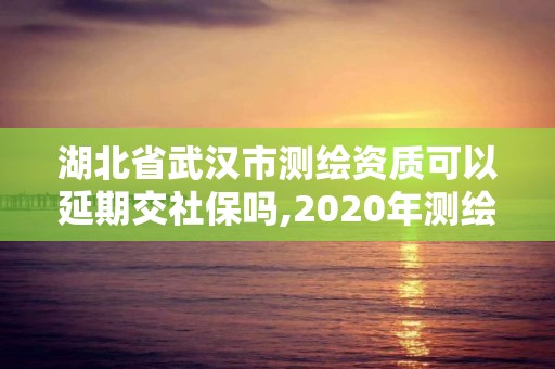 湖北省武漢市測繪資質可以延期交社保嗎,2020年測繪資質延期公告。