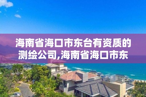 海南省海口市東臺有資質的測繪公司,海南省海口市東臺有資質的測繪公司有哪些。