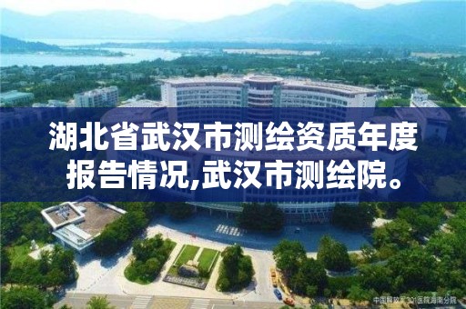 湖北省武漢市測繪資質年度報告情況,武漢市測繪院。