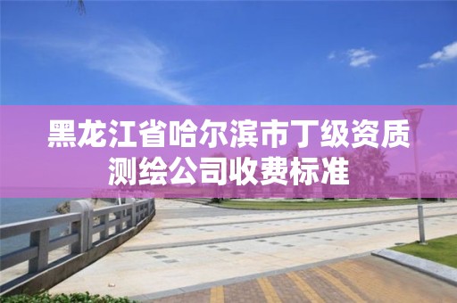 黑龍江省哈爾濱市丁級(jí)資質(zhì)測(cè)繪公司收費(fèi)標(biāo)準(zhǔn)