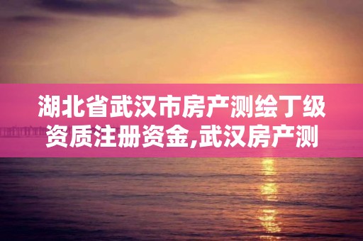 湖北省武漢市房產測繪丁級資質注冊資金,武漢房產測繪中心有編制嗎。