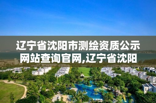 遼寧省沈陽市測繪資質公示網站查詢官網,遼寧省沈陽市測繪資質公示網站查詢官網下載。