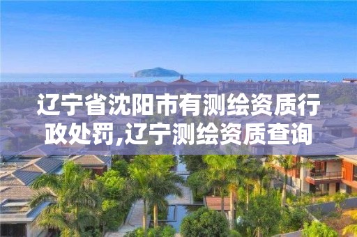 遼寧省沈陽市有測繪資質行政處罰,遼寧測繪資質查詢。