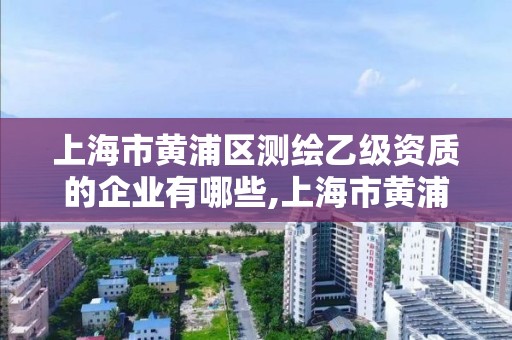 上海市黃浦區測繪乙級資質的企業有哪些,上海市黃浦區測繪乙級資質的企業有哪些單位。