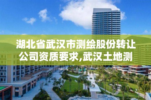 湖北省武漢市測繪股份轉讓公司資質要求,武漢土地測繪公司。