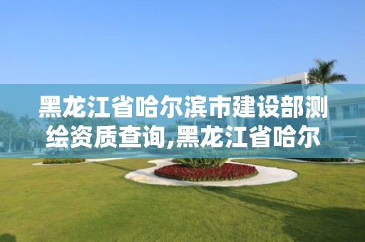 黑龍江省哈爾濱市建設部測繪資質查詢,黑龍江省哈爾濱市測繪局。