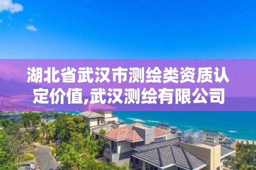 湖北省武漢市測繪類資質認定價值,武漢測繪有限公司。