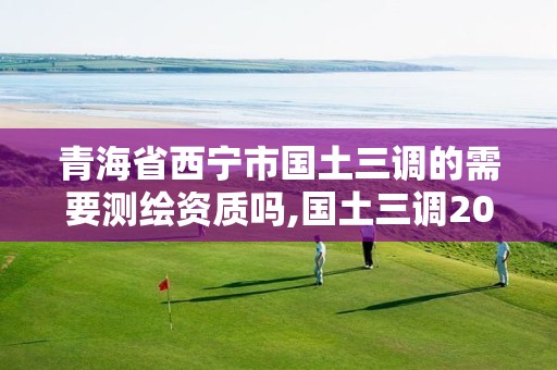 青海省西寧市國土三調的需要測繪資質嗎,國土三調2021年能不能用。