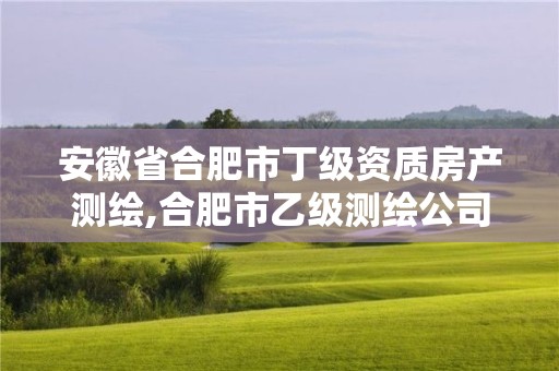 安徽省合肥市丁級資質房產測繪,合肥市乙級測繪公司。