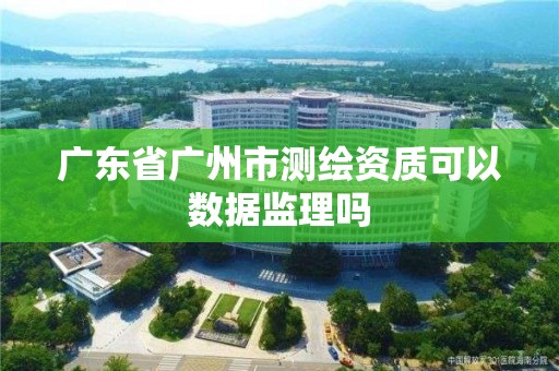 廣東省廣州市測繪資質可以數據監理嗎