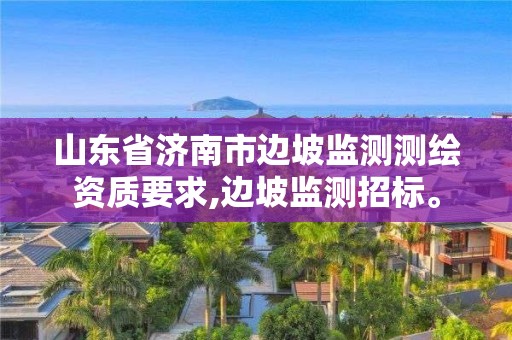 山東省濟南市邊坡監(jiān)測測繪資質(zhì)要求,邊坡監(jiān)測招標。