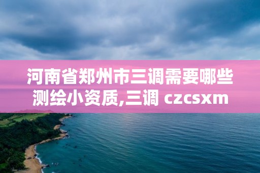 河南省鄭州市三調需要哪些測繪小資質,三調 czcsxm。