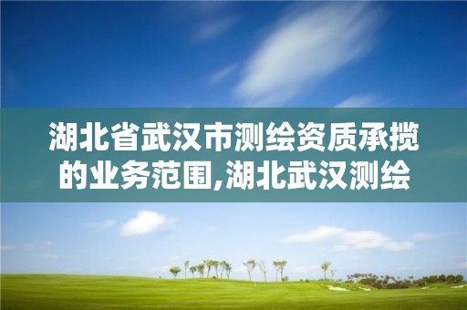 湖北省武漢市測繪資質承攬的業務范圍,湖北武漢測繪公司排行榜。