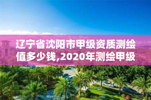 遼寧省沈陽市甲級資質測繪值多少錢,2020年測繪甲級資質條件。