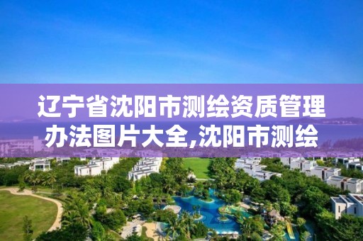 遼寧省沈陽市測繪資質管理辦法圖片大全,沈陽市測繪院是什么單位。