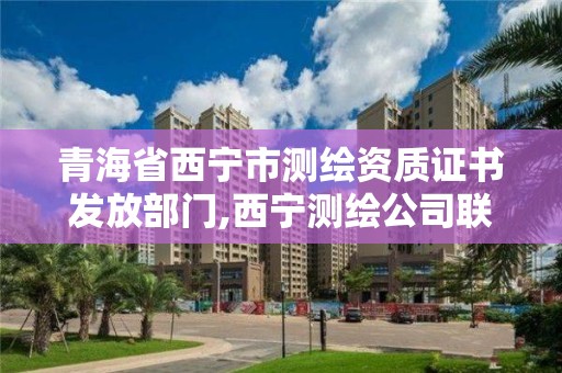 青海省西寧市測繪資質證書發放部門,西寧測繪公司聯系方式。