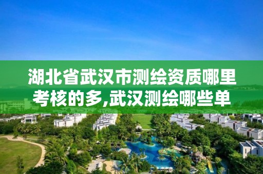 湖北省武漢市測繪資質哪里考核的多,武漢測繪哪些單位比較好。