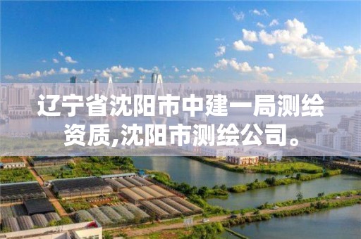 遼寧省沈陽市中建一局測繪資質,沈陽市測繪公司。