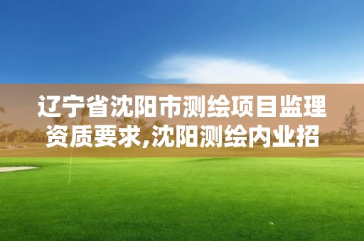 遼寧省沈陽市測繪項目監理資質要求,沈陽測繪內業招聘信息。