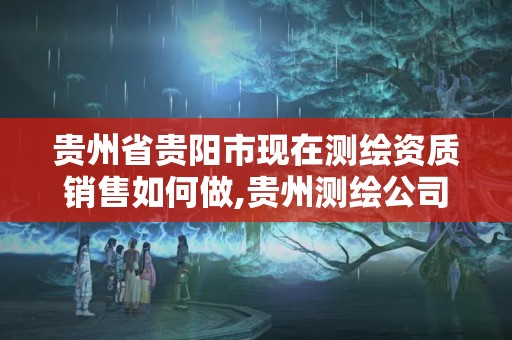 貴州省貴陽市現在測繪資質銷售如何做,貴州測繪公司排名待遇。