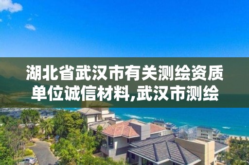 湖北省武漢市有關測繪資質單位誠信材料,武漢市測繪工程技術規定。