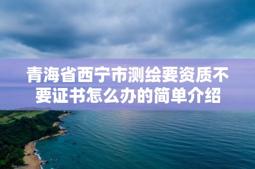 青海省西寧市測繪要資質不要證書怎么辦的簡單介紹