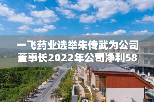 一飛藥業(yè)選舉朱傳武為公司董事長2022年公司凈利586.2萬