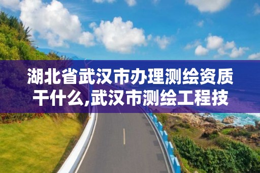 湖北省武漢市辦理測(cè)繪資質(zhì)干什么,武漢市測(cè)繪工程技術(shù)規(guī)定。