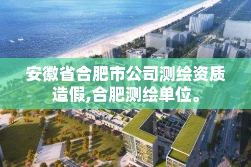 安徽省合肥市公司測繪資質造假,合肥測繪單位。