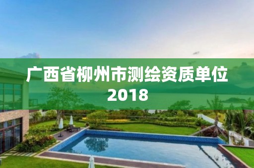 廣西省柳州市測繪資質單位2018