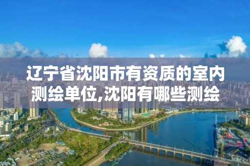 遼寧省沈陽市有資質的室內測繪單位,沈陽有哪些測繪公司招聘。