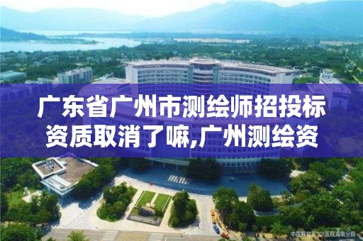 廣東省廣州市測繪師招投標資質取消了嘛,廣州測繪資質代辦。