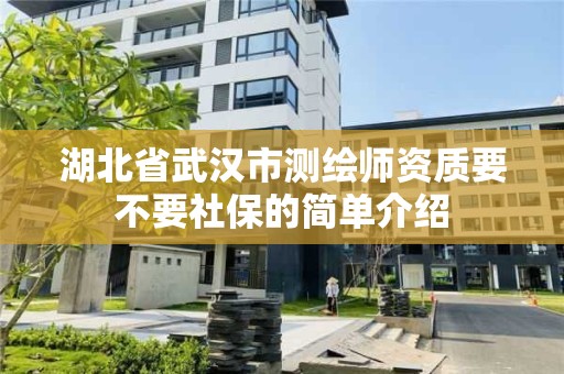 湖北省武漢市測繪師資質要不要社保的簡單介紹