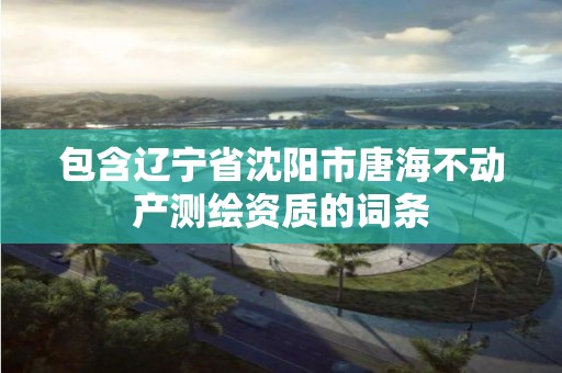 包含遼寧省沈陽市唐海不動產測繪資質的詞條